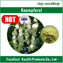 100% Natural Kaempferia Galanga Extract